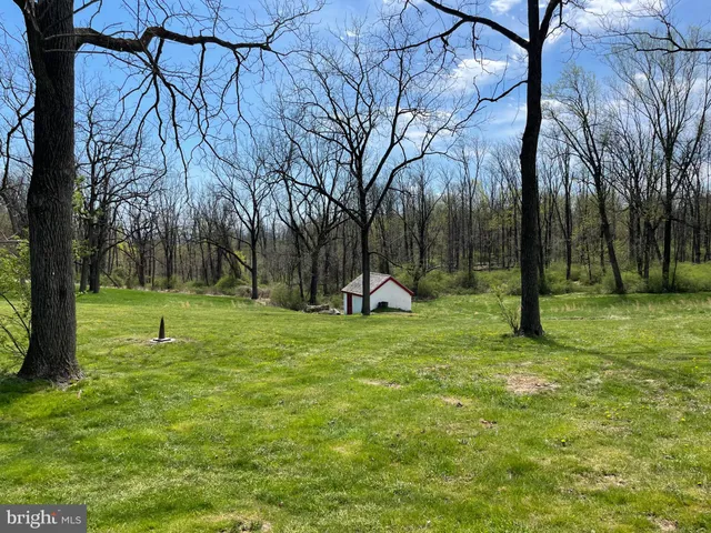 a view of backyard of house and trees