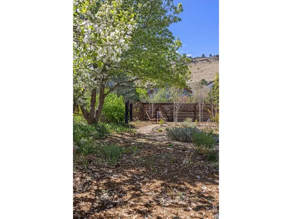a backyard of a house with a tree