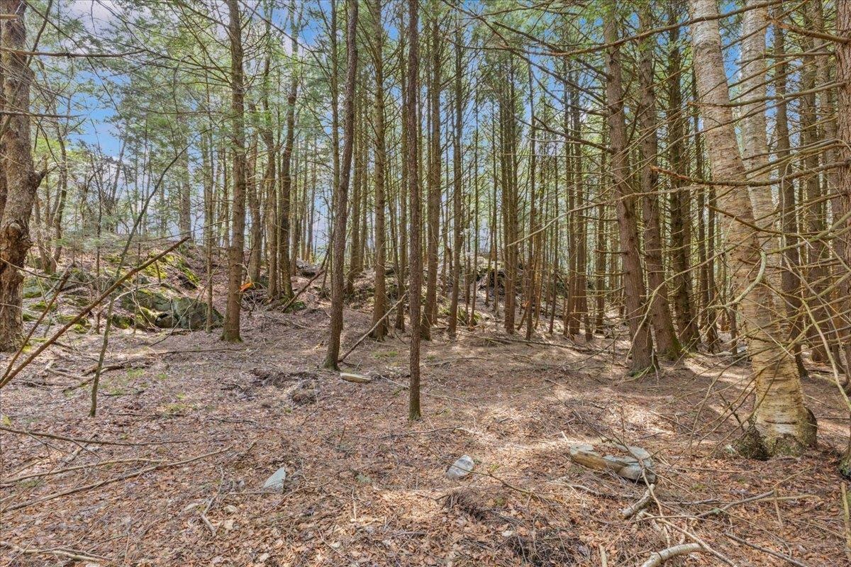 2-3 Hemlock Ridge Westford, VT 05494 - Photo 11 of 24