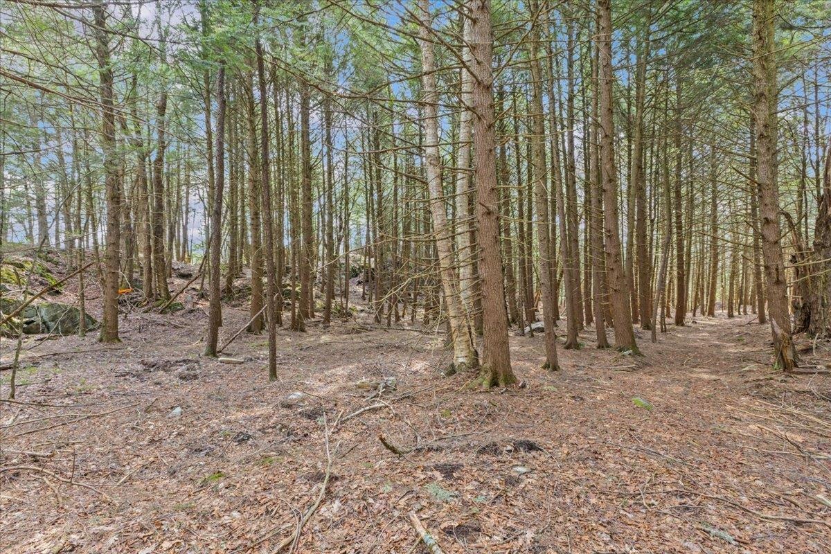 2-3 Hemlock Ridge Westford, VT 05494 - Photo 12 of 24