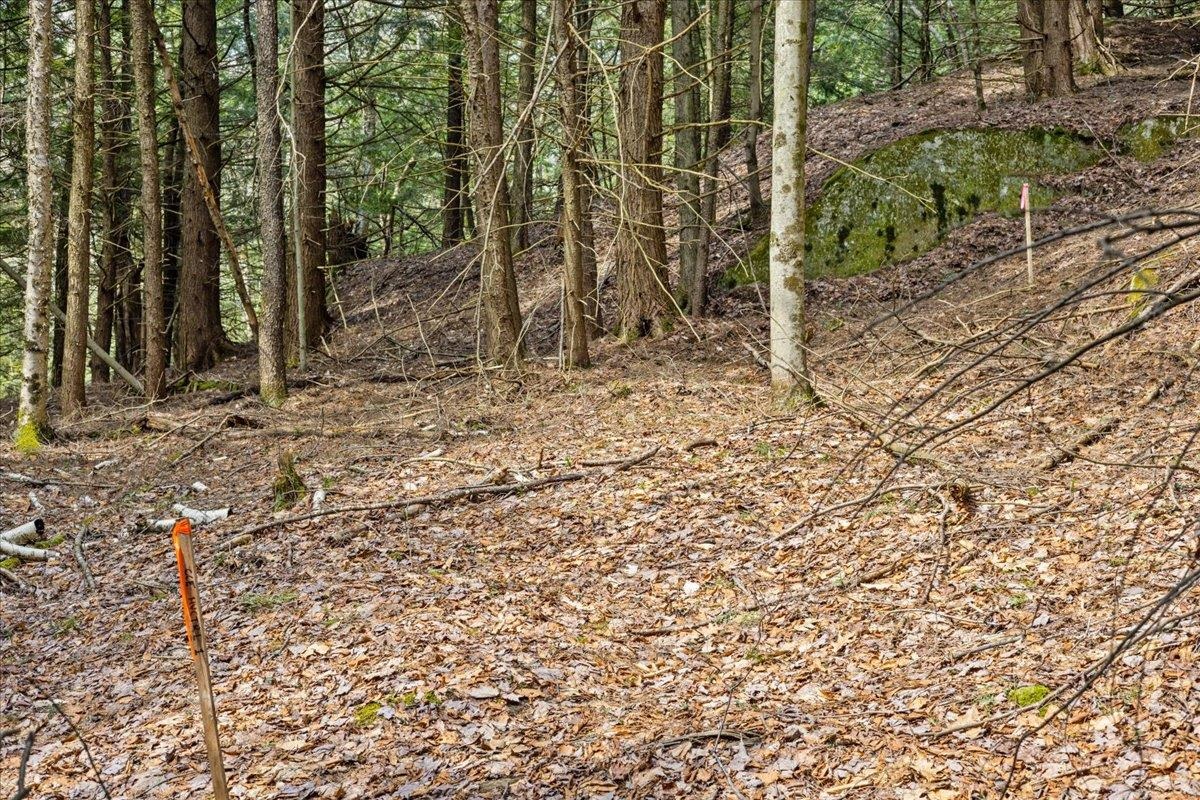 2-3 Hemlock Ridge Westford, VT 05494 - Photo 19 of 24