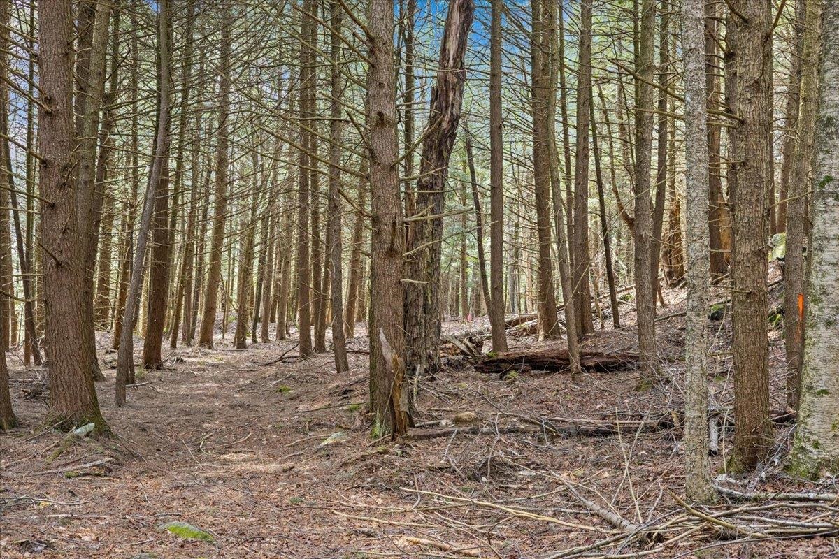 2-3 Hemlock Ridge Westford, VT 05494 - Photo 20 of 24