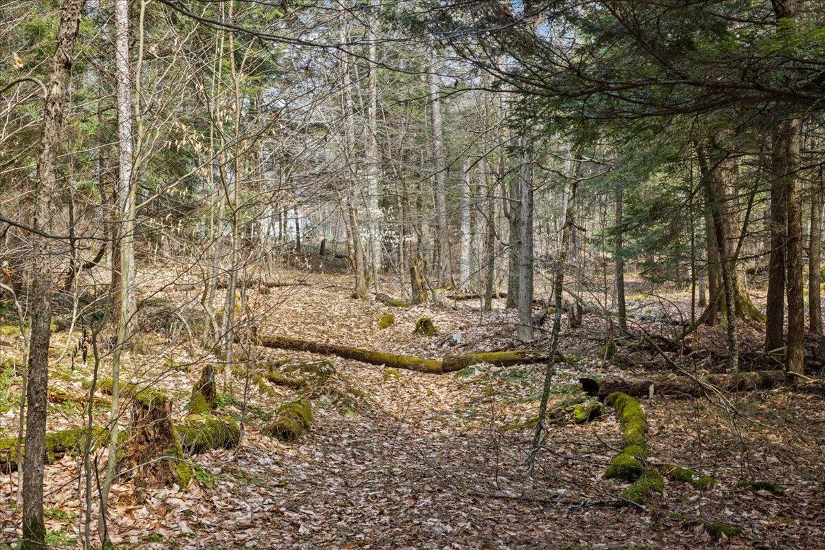 2-3 Hemlock Ridge Westford, VT 05494 - Photo 23 of 24
