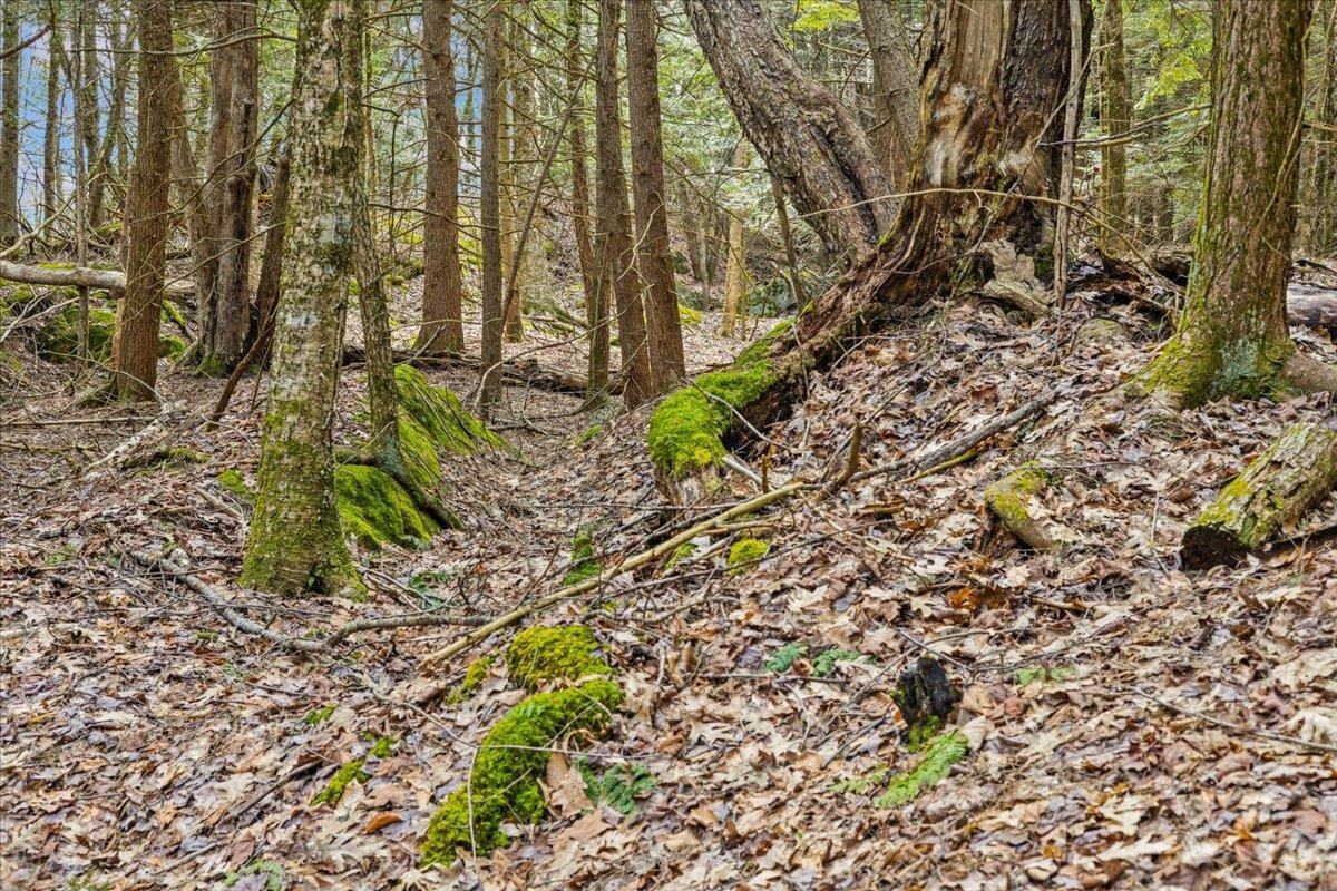 2-3 Hemlock Ridge Westford, VT 05494 - Photo 24 of 24