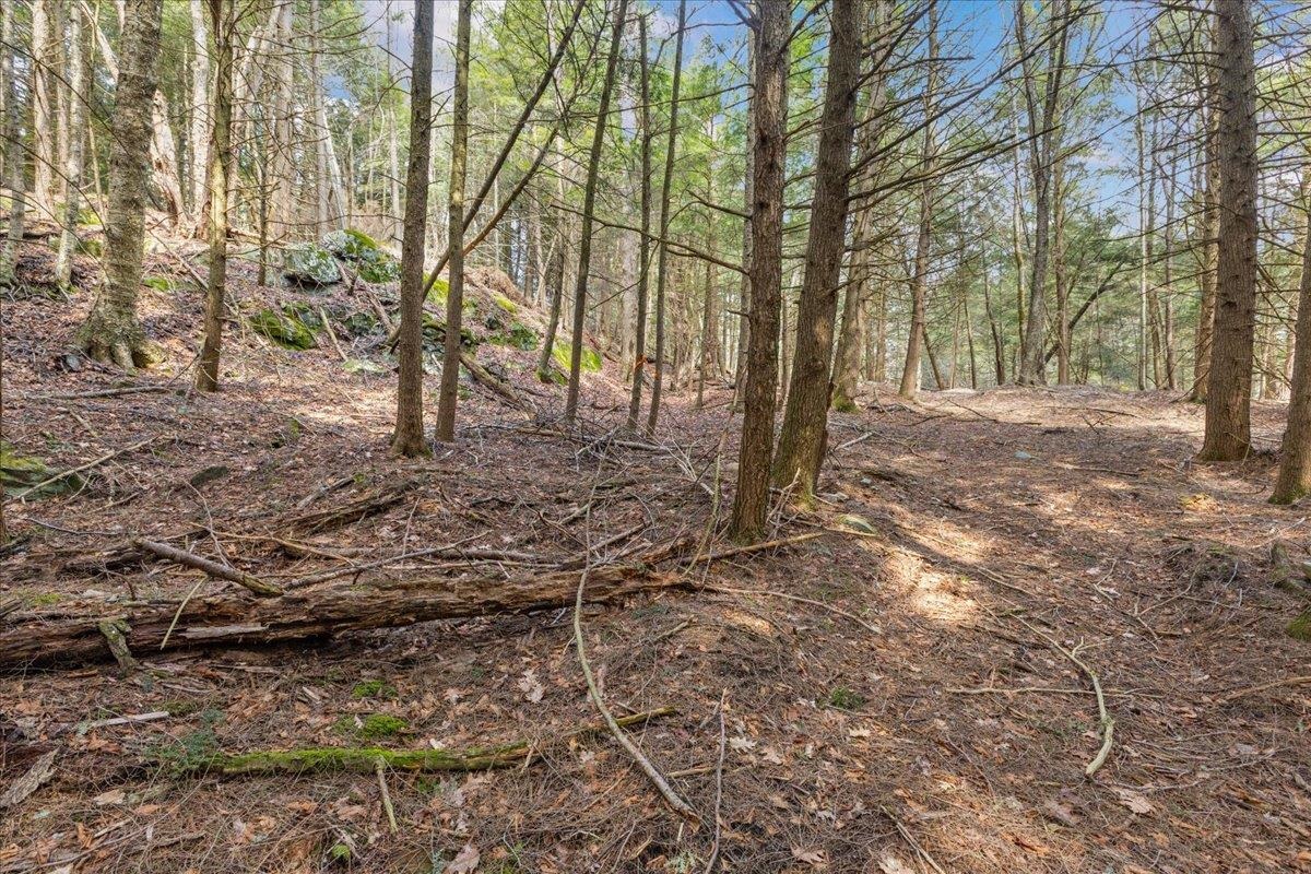 2-3 Hemlock Ridge Westford, VT 05494 - Photo 10 of 24