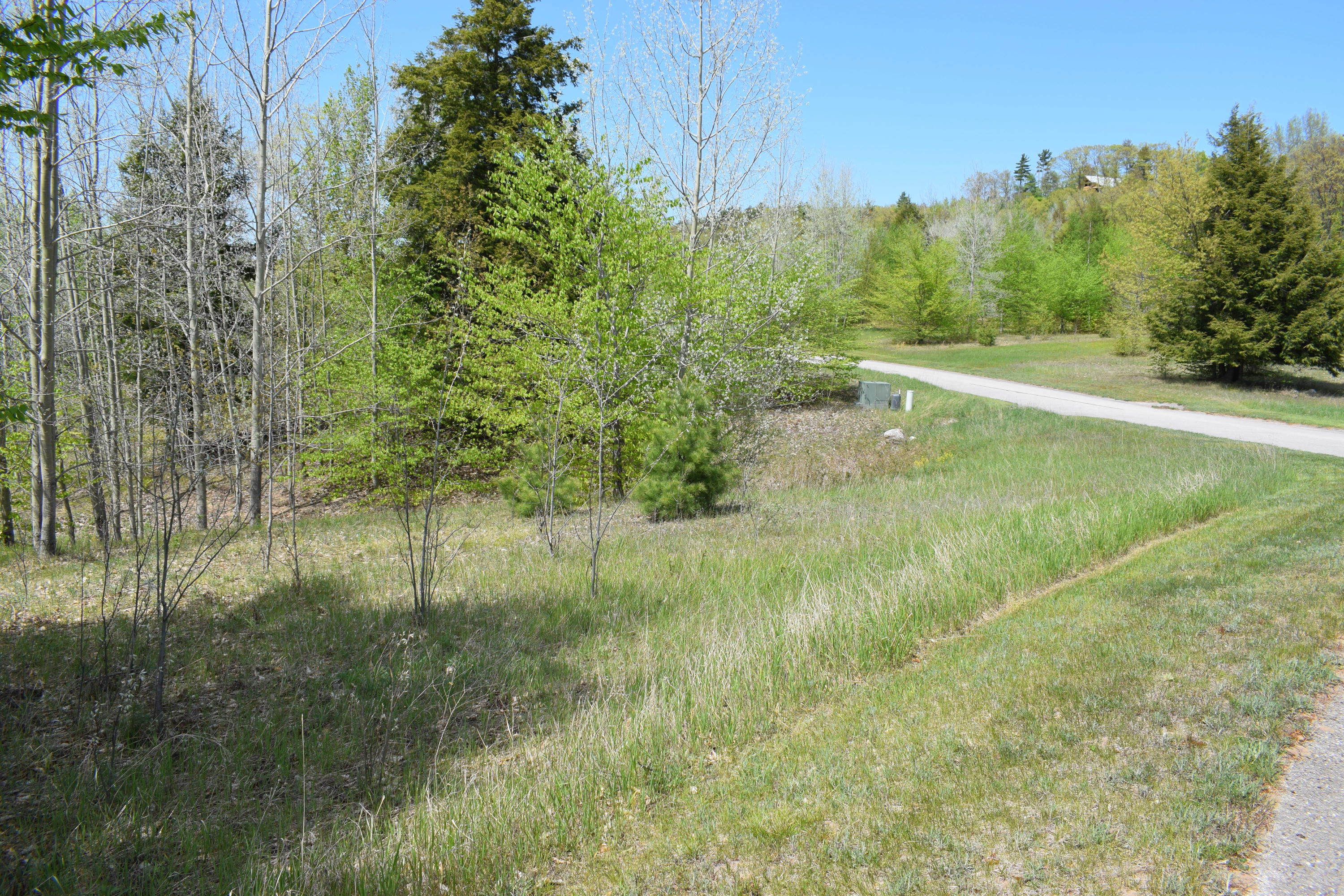 125 Eagle Ridge Circle Onekama, MI 49675 - Photo 4 of 5 DSC_0008