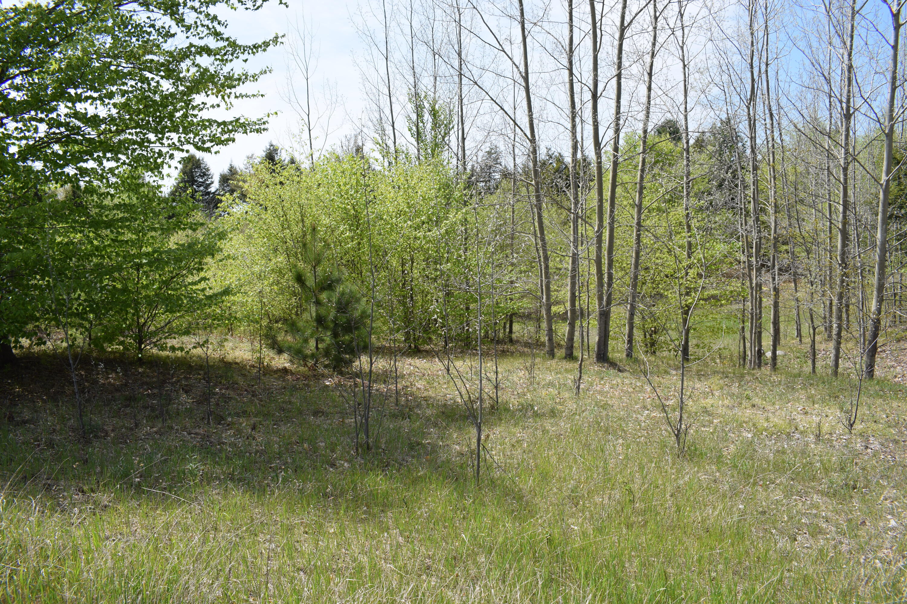 125 Eagle Ridge Circle Onekama, MI 49675 - Photo 5 of 5 DSC_0009