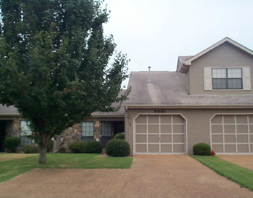 Primary Photo