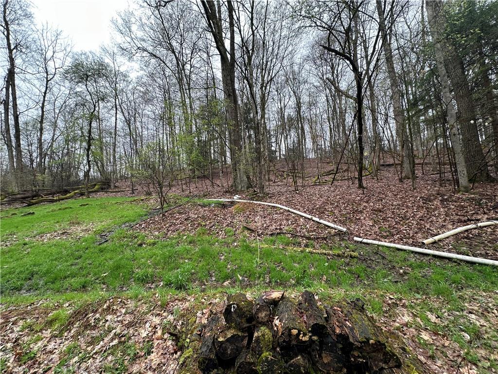 357 Pineville Road Grand Valley, PA 16420 - Photo 11 of 11