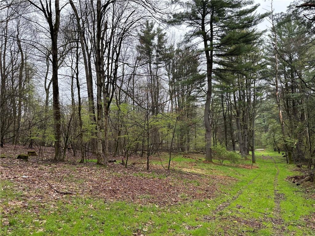 357 Pineville Road Grand Valley, PA 16420 - Photo 8 of 11