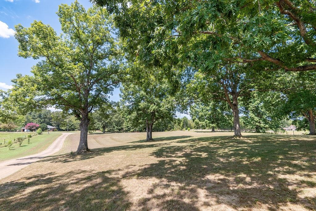 5870 Monk House Road Somerville, TN 38068 - Photo 34 of 40 a view of a yard with a tree
