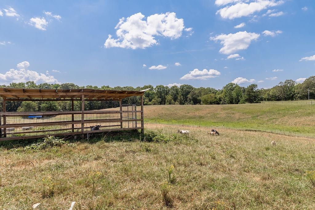 5870 Monk House Road Somerville, TN 38068 - Photo 38 of 40 a view of a pathway with a lake
