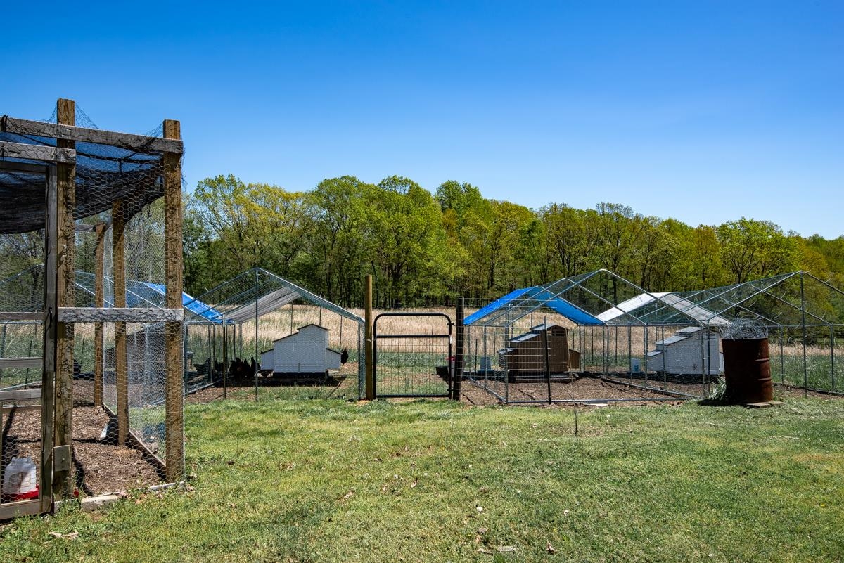 5870 Monk House Road Somerville, TN 38068 - Photo 39 of 40 a house view with a garden space
