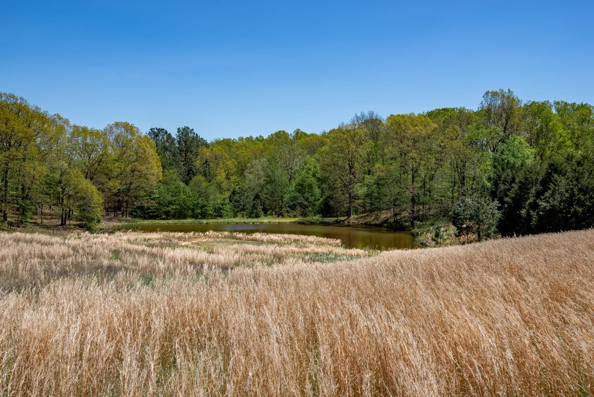 5870 Monk House Road Somerville, TN 38068 - Photo 40 of 40 a view of a yard