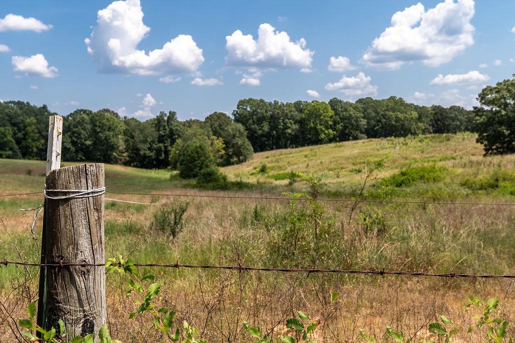 5870 Monk House Road Somerville, TN 38068 - Photo 6 of 40