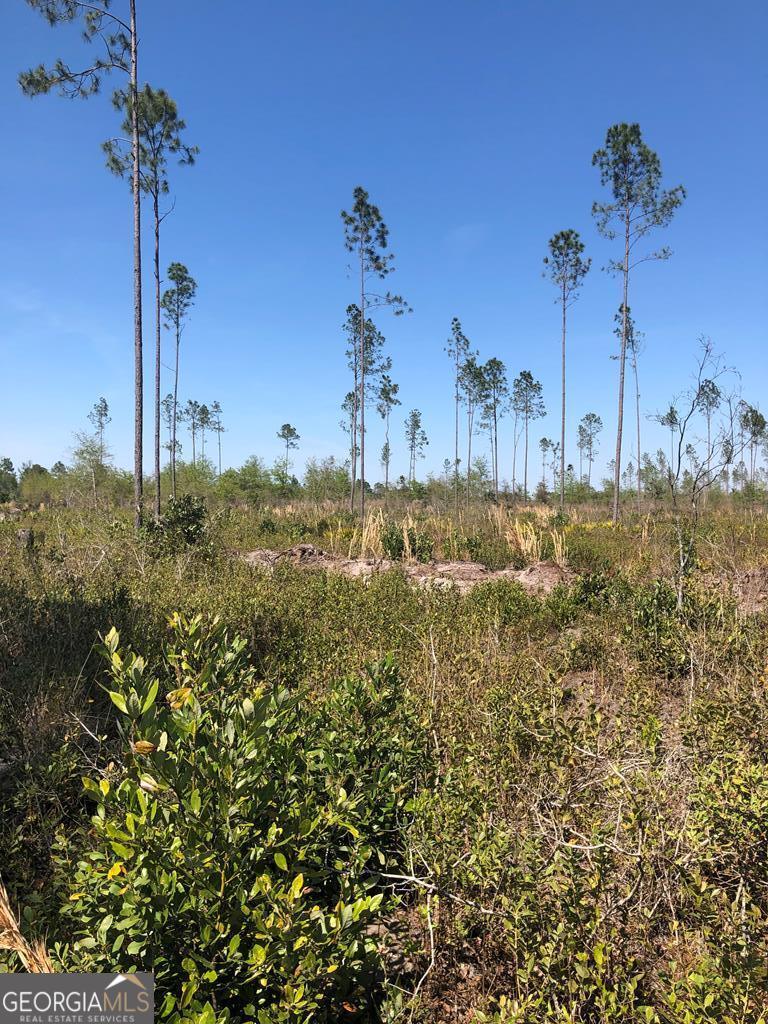 0 Big Pond Road Baxley, GA 31513 - Photo 1 of 1 Main View