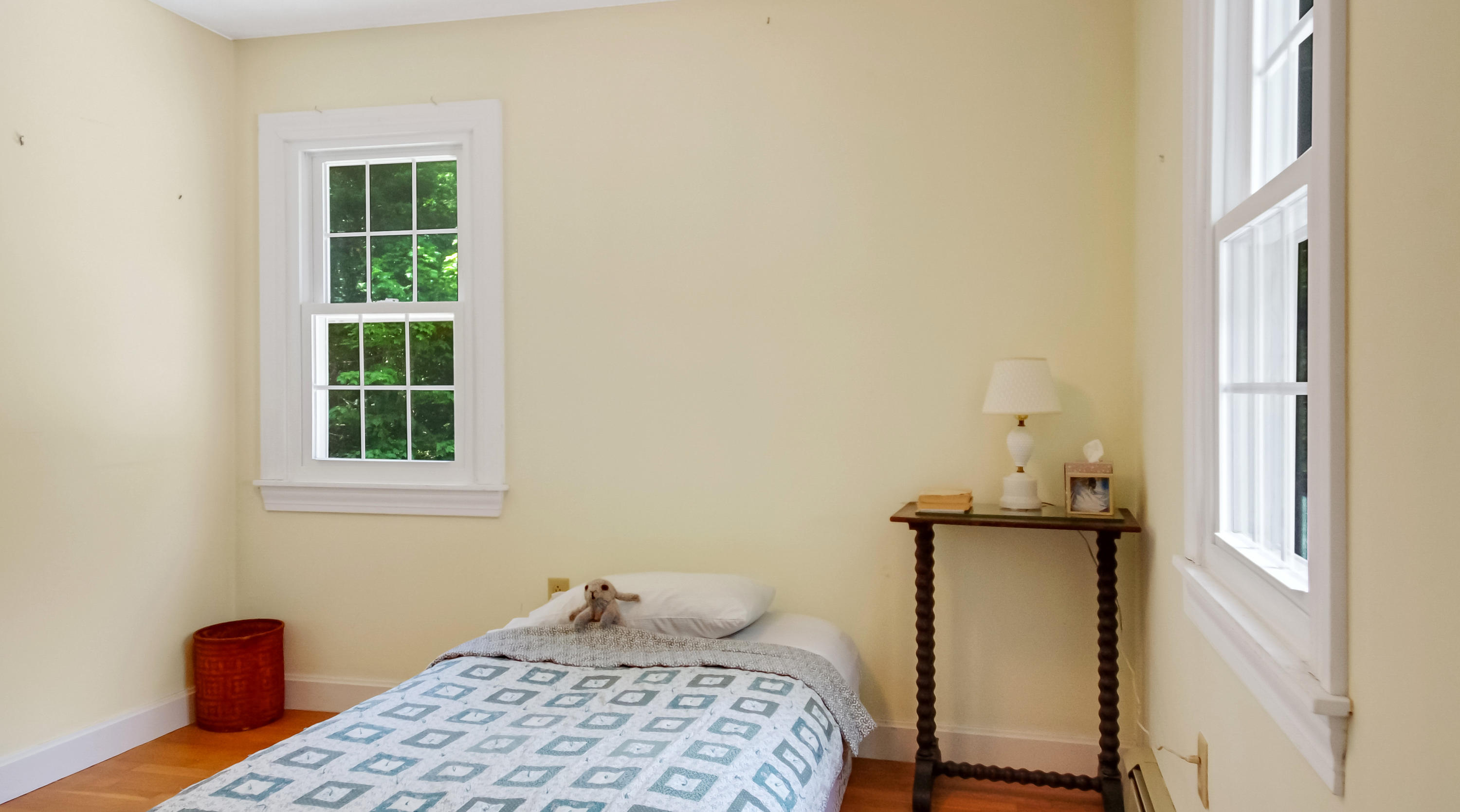 141 Worthing Road Manchester, ME 04351 - Photo 40 of 58 30_DJI_0062_DxO