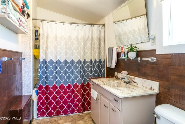a bathroom with a sink vanity mirror and a shower