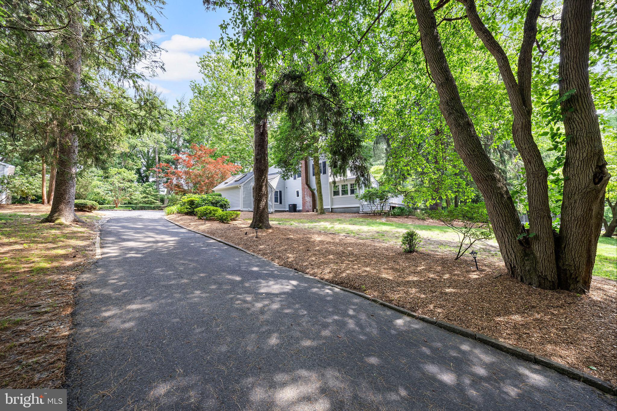 136 Lambs Road Sewell, NJ 08080 - Photo 30 of 65 a view of a tree in the middle of a yard