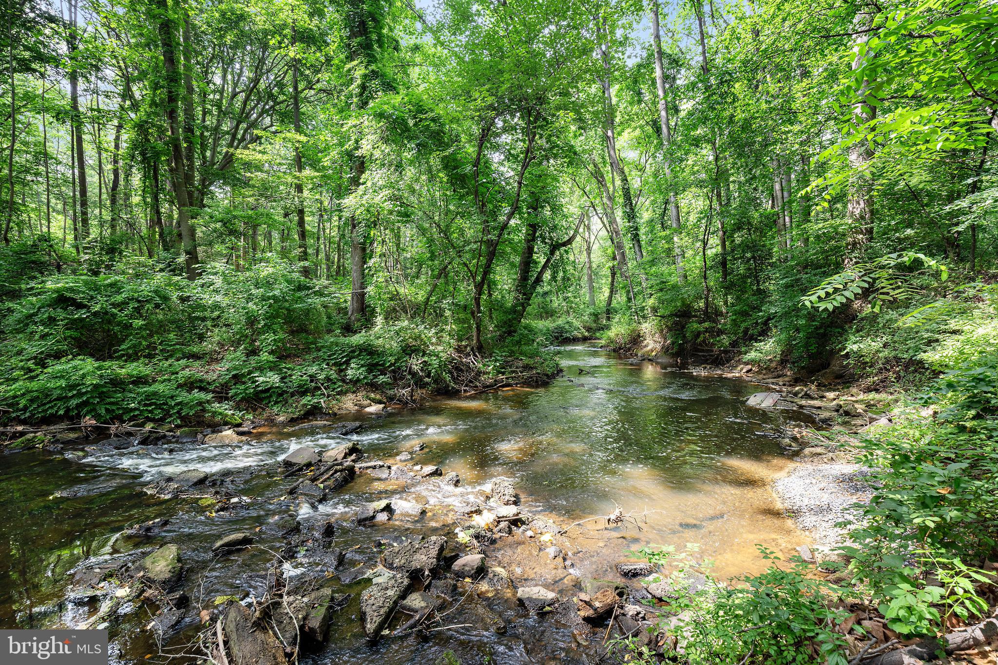 136 Lambs Road Sewell, NJ 08080 - Photo 41 of 65 a view of a forest with trees