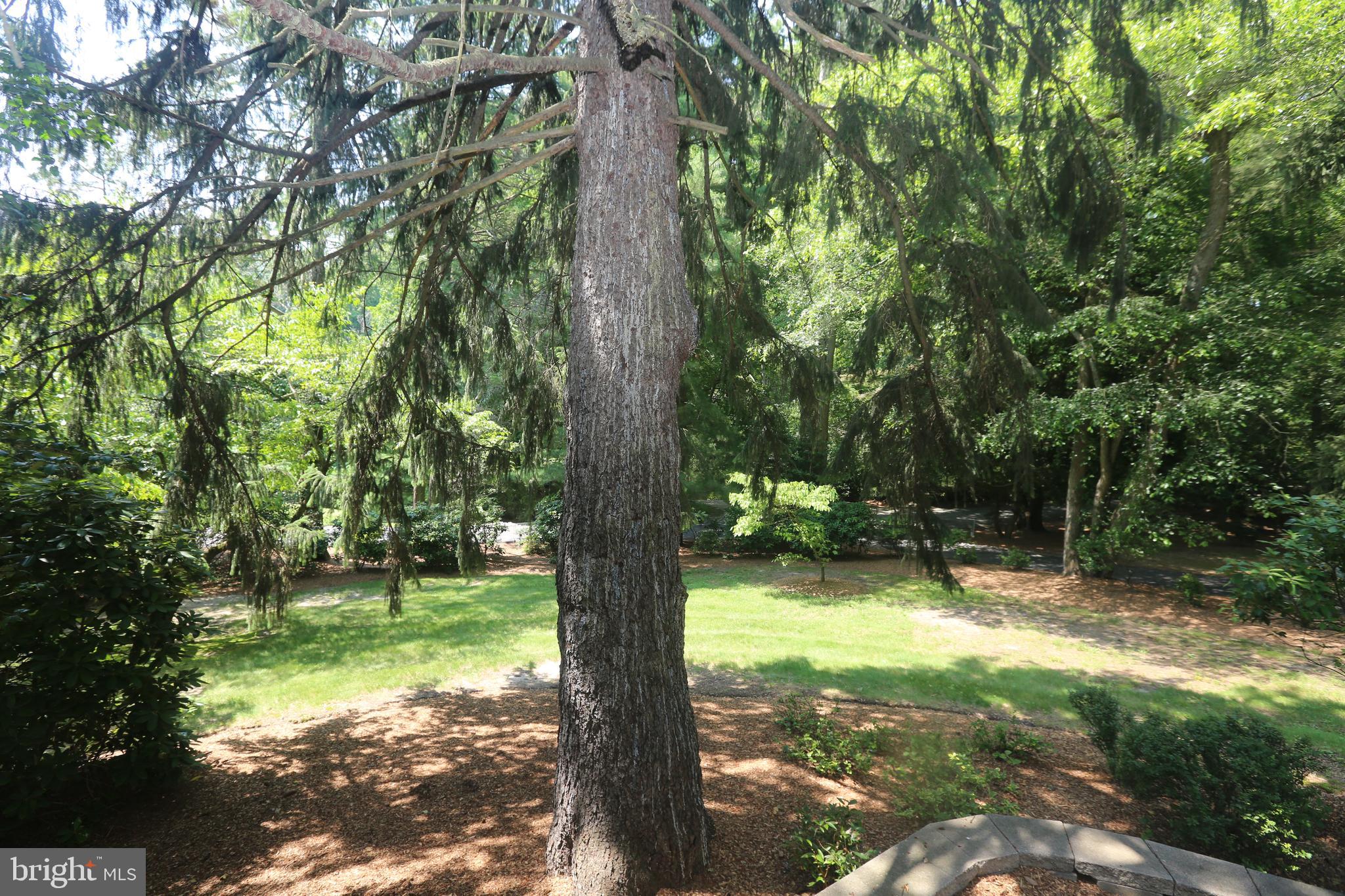 136 Lambs Road Sewell, NJ 08080 - Photo 60 of 65 a view of outdoor space with a lake view