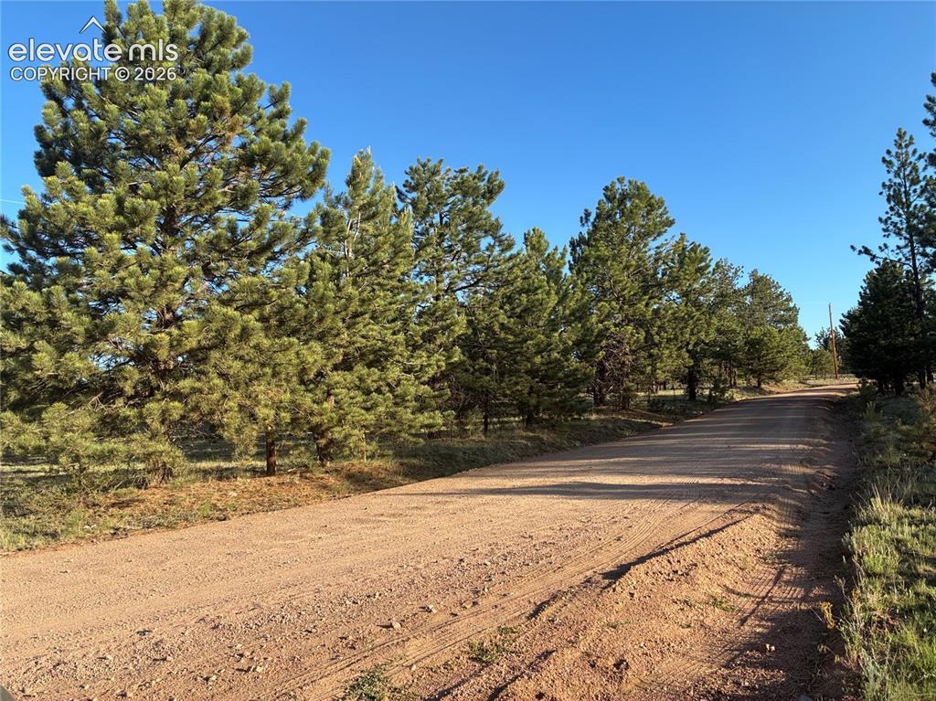 Tbd Doe Valley Road Guffey, CO 80820 - Photo 6 of 19 Well maintained roads.