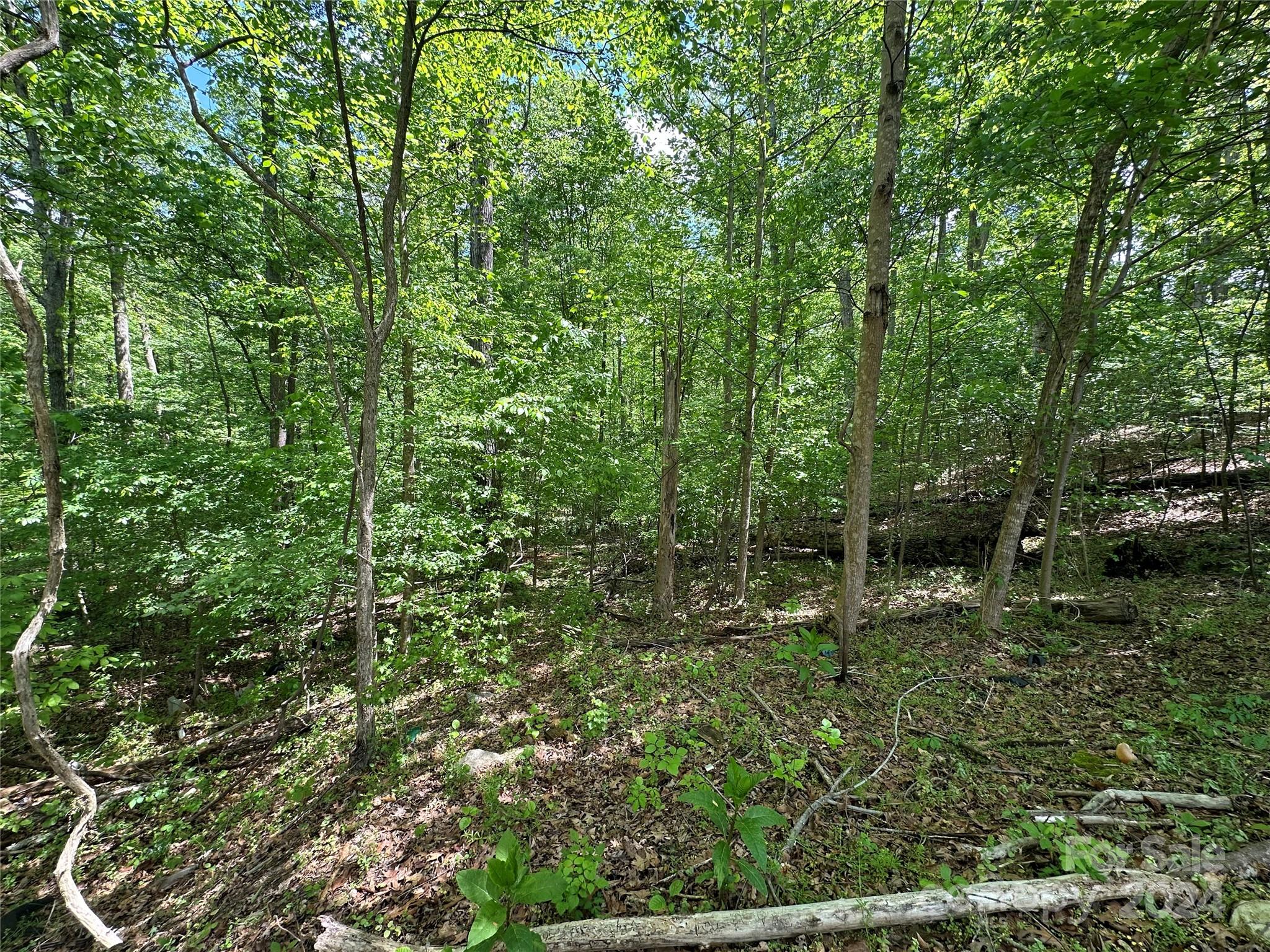 1769 Shearers Road Davidson, NC 28036 - Photo 15 of 23 Gallery Image 15