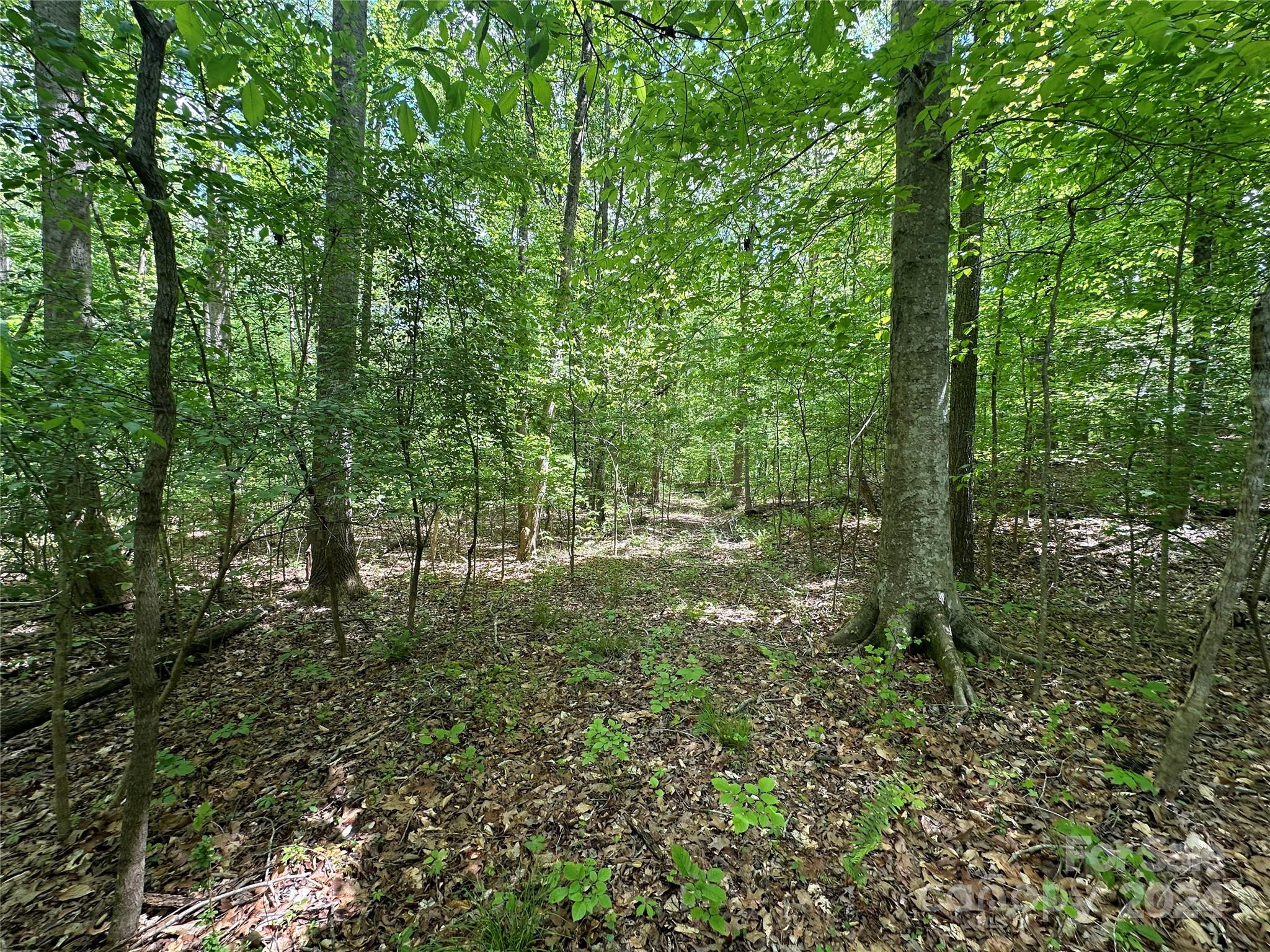 1769 Shearers Road Davidson, NC 28036 - Photo 16 of 23 Gallery Image 16