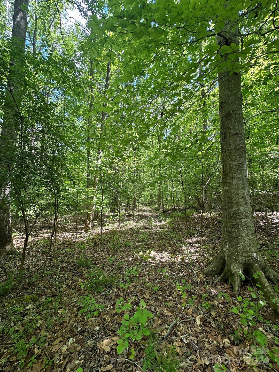 1769 Shearers Road Davidson, NC 28036 - Photo 17 of 23 Gallery Image 17