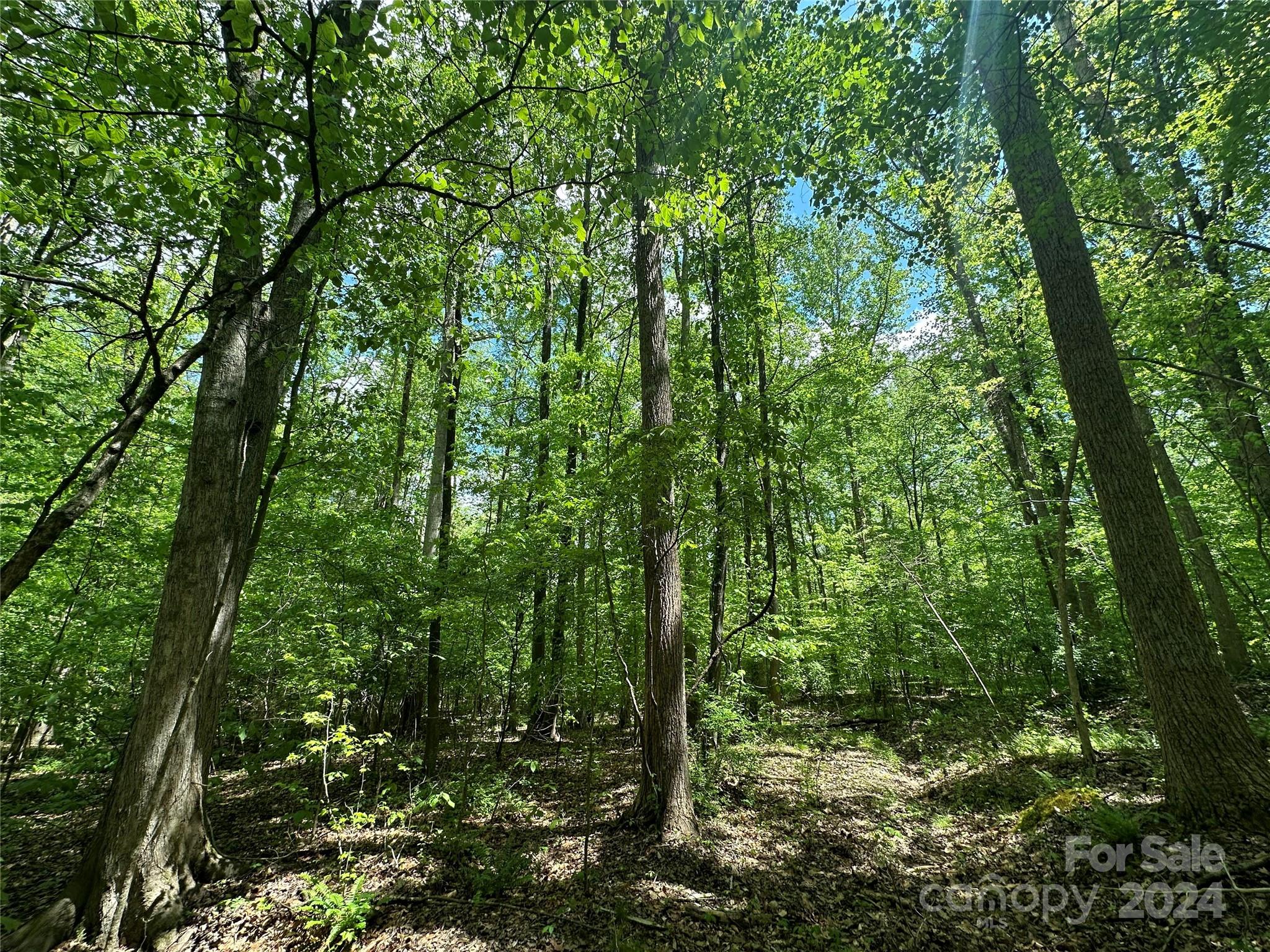 1769 Shearers Road Davidson, NC 28036 - Photo 18 of 23 Gallery Image 18