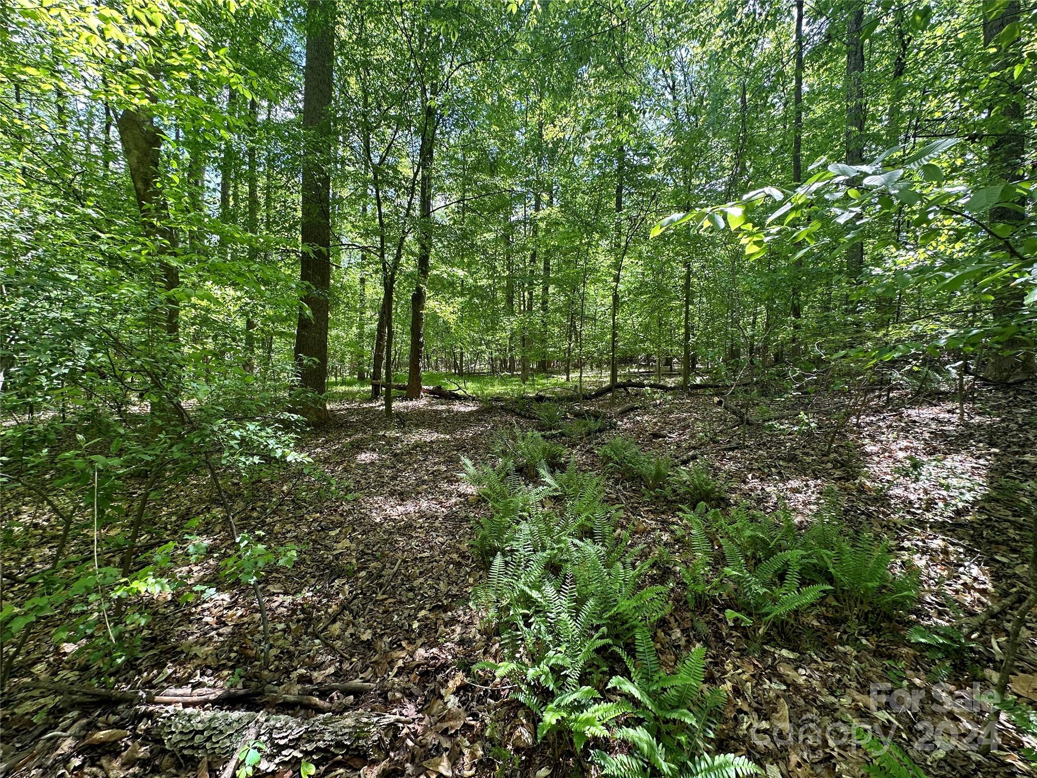 1769 Shearers Road Davidson, NC 28036 - Photo 19 of 23 Gallery Image 19