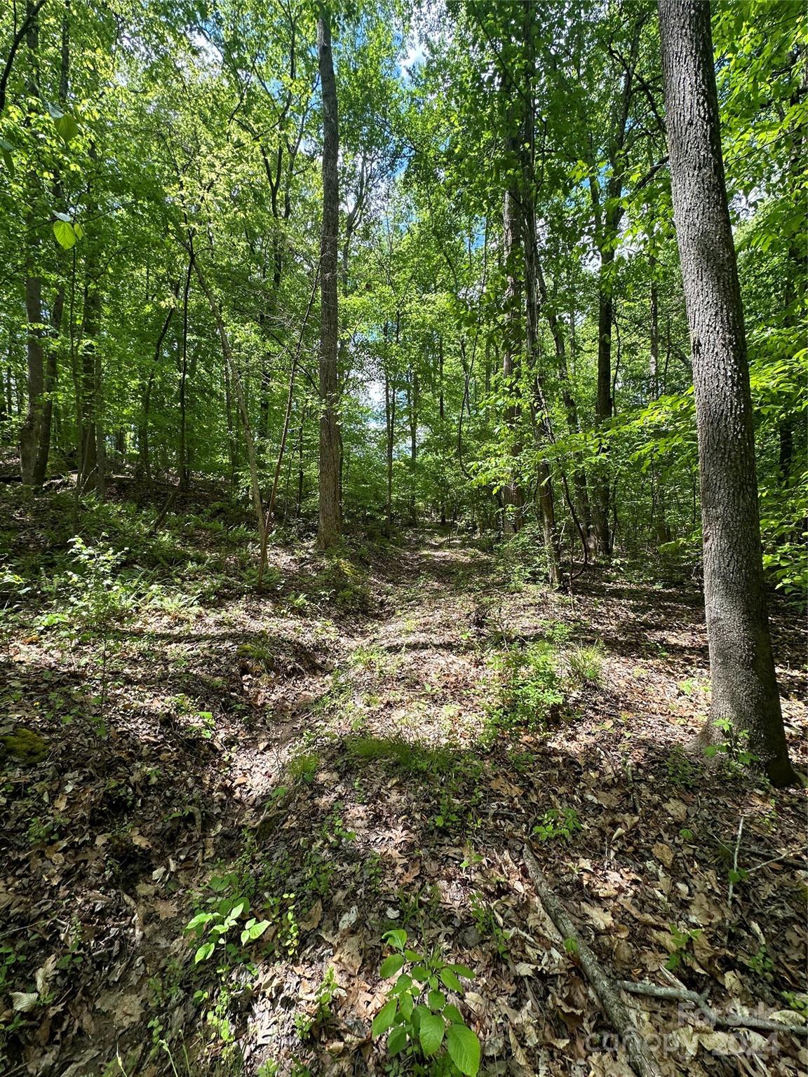 1769 Shearers Road Davidson, NC 28036 - Photo 21 of 23 Gallery Image 21