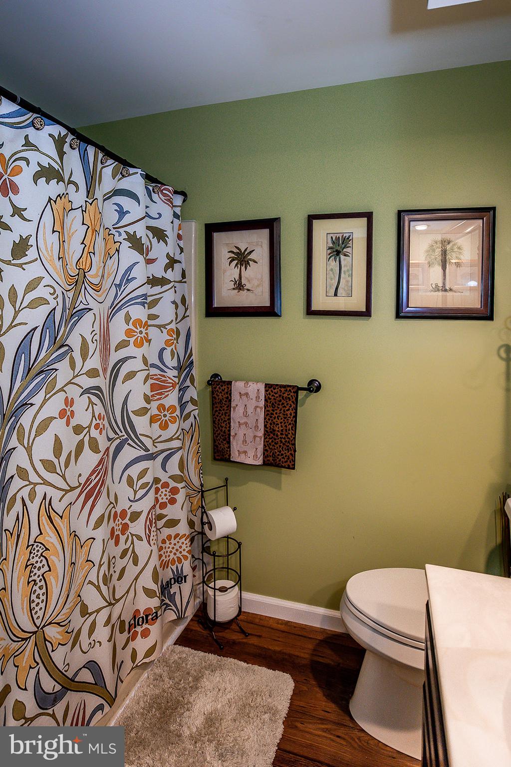 326 Knights Bridge Way Lititz, PA 17543 - Photo 42 of 59 Lower level bath