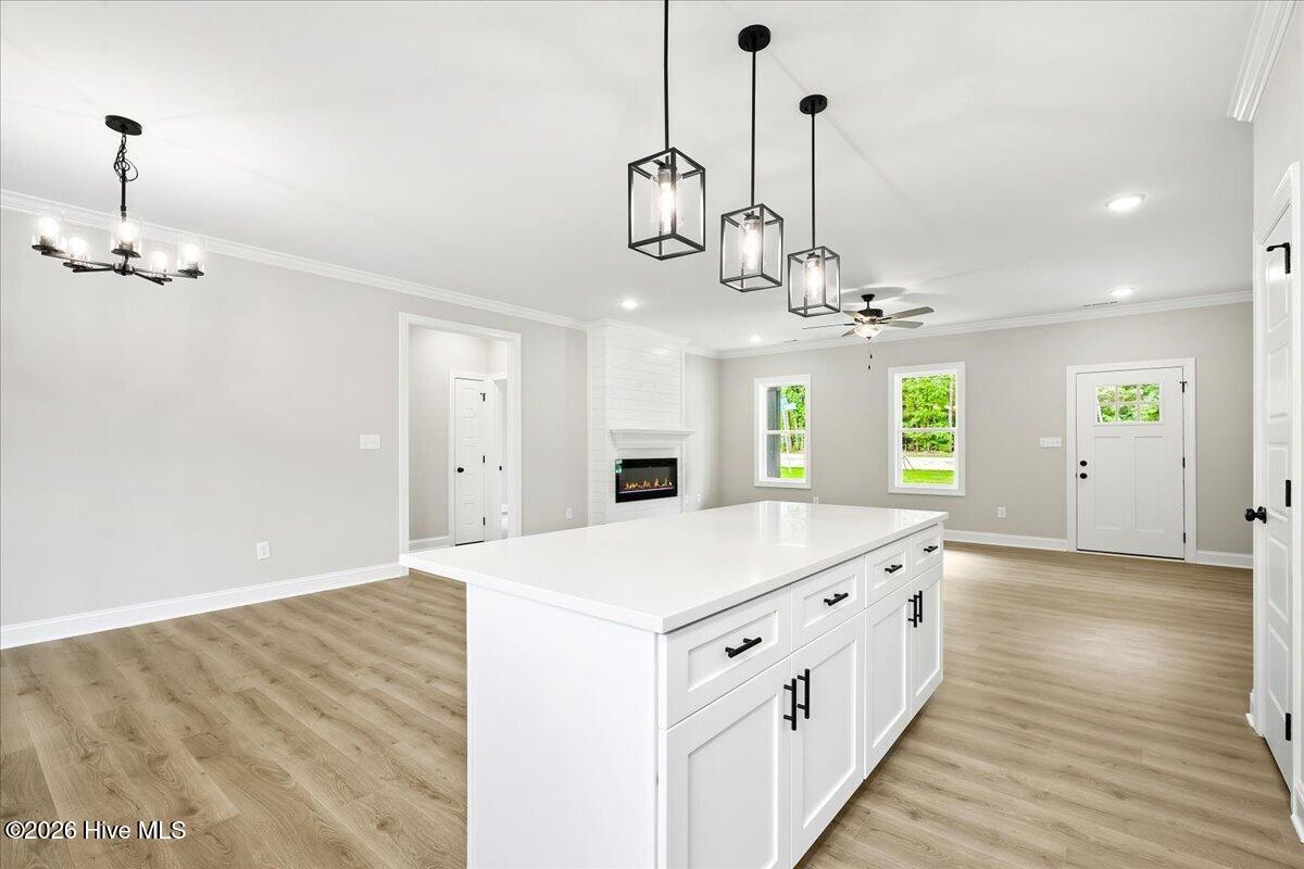 1805 South Big Woods Road Spring Hope, NC 27882 - Photo 12 of 40
