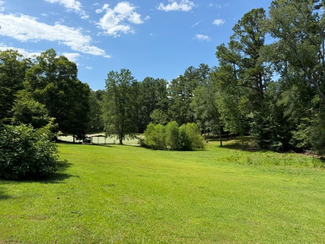 1528 West Alexander Road Greenwood, SC 29646 - Photo 2 of 12