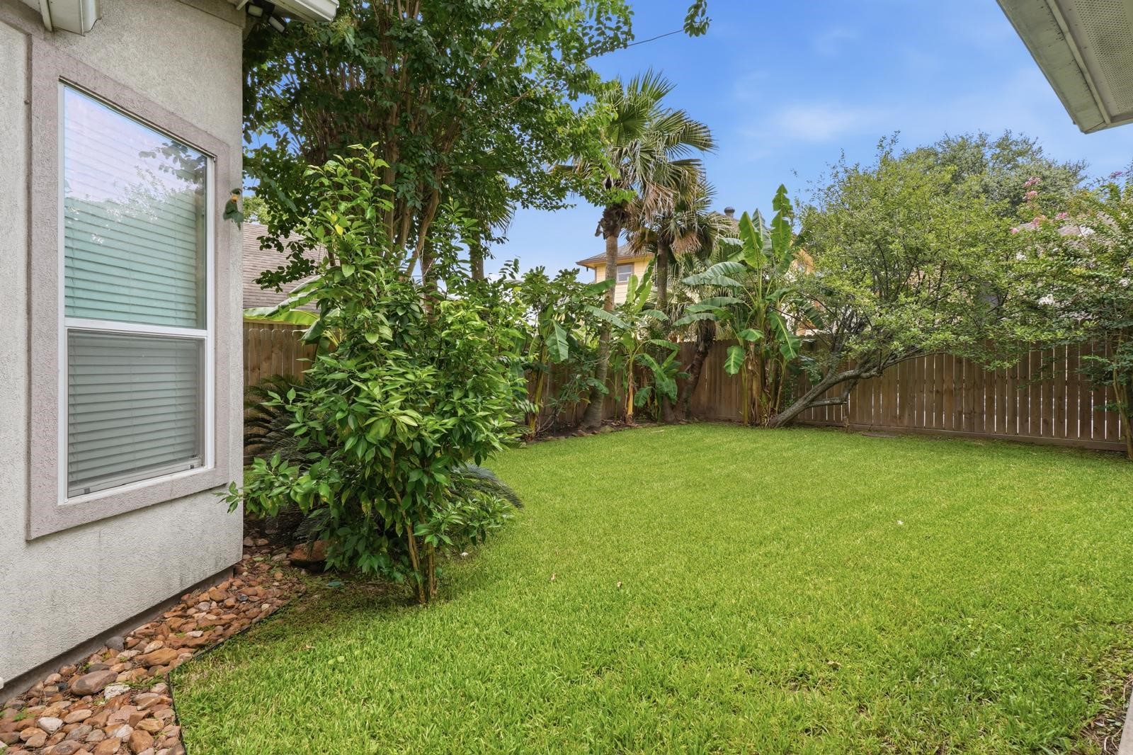 247 Old Spring Lane Houston, TX 77015 - Photo 21 of 25 a view of a backyard with a plants and trees