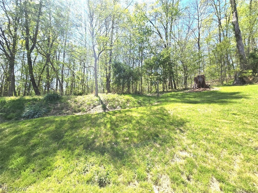 2361 Carpenter Run Road Waverly, WV 26184 - Photo 31 of 37