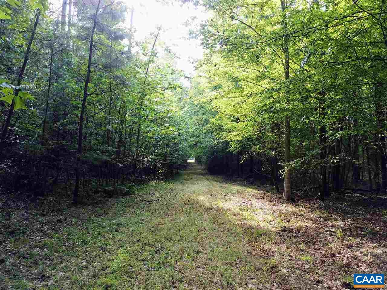 Tba Lot 2 Tba Route South Dillwyn, VA 23936 - Photo 1 of 39 Gallery Image 1