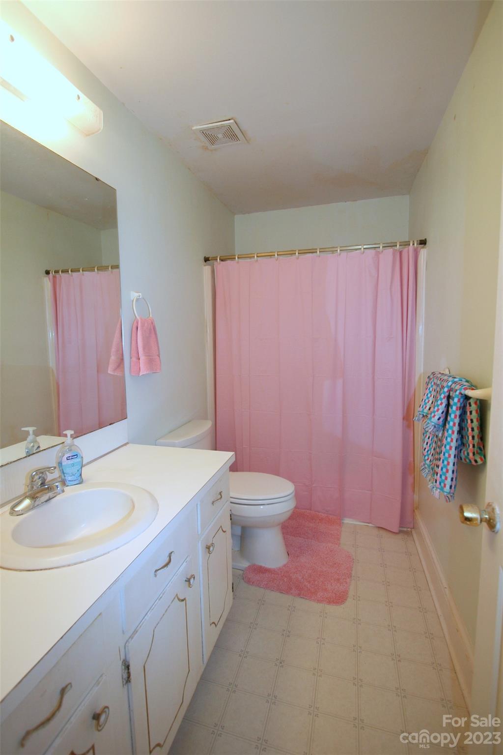 2813 Castlebrook Drive Monroe, NC 28112 - Photo 22 of 37 a bathroom with a sink a toilet a mirror and vanity