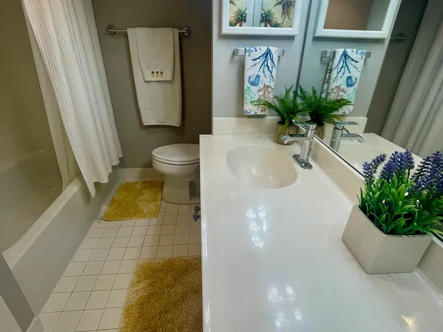 a bathroom with a potted plant and a shower