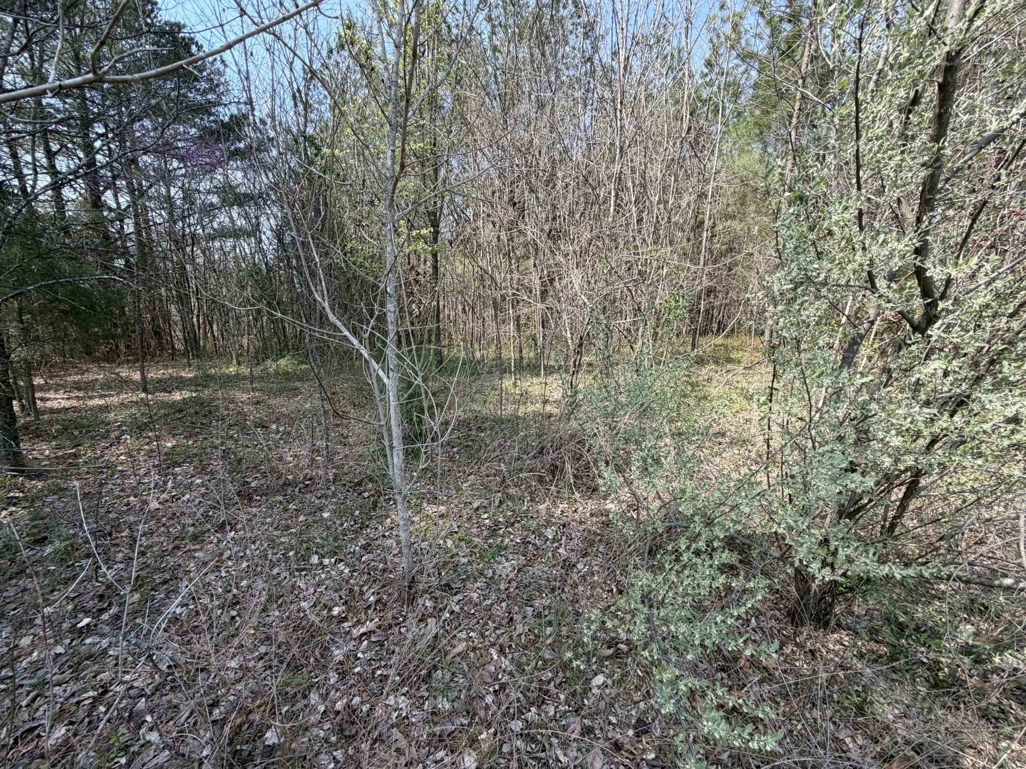 5106 Workman Road Southside, TN 37171 - Photo 3 of 8