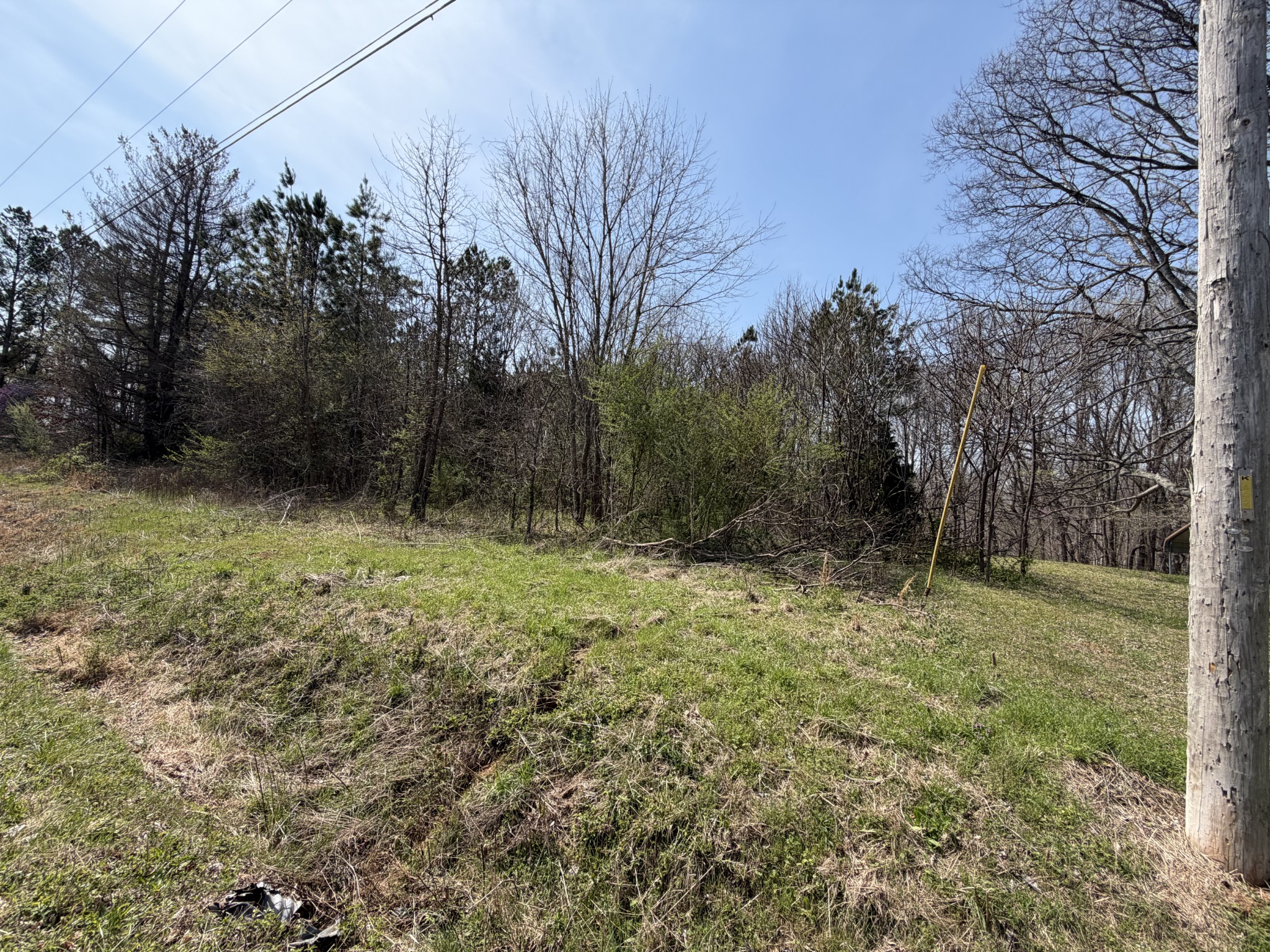 5106 Workman Road Southside, TN 37171 - Photo 5 of 8