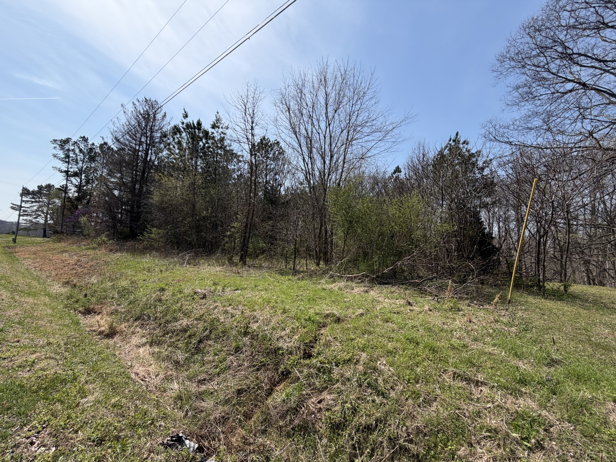 5106 Workman Road Southside, TN 37171 - Photo 6 of 8