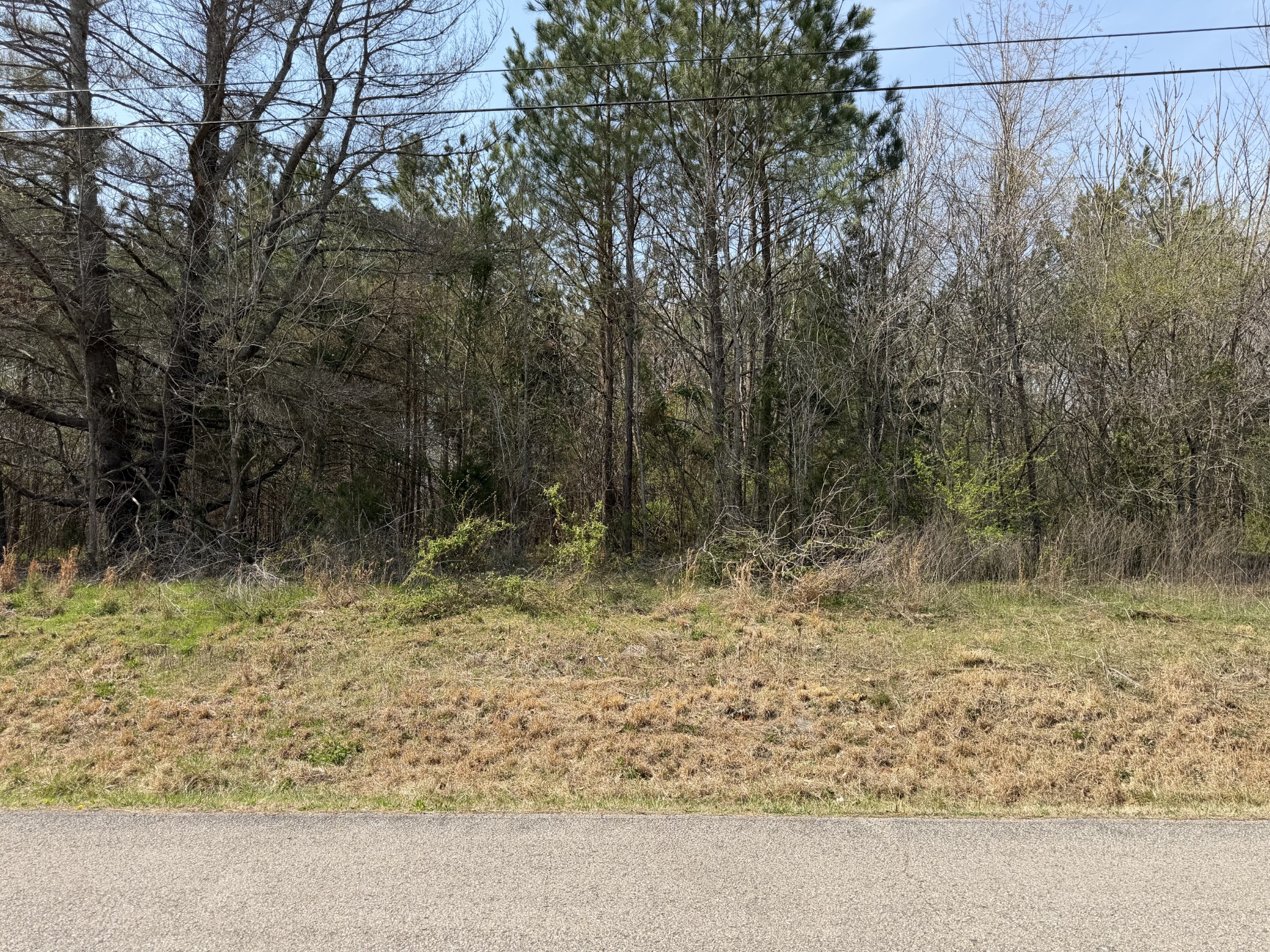 5106 Workman Road Southside, TN 37171 - Photo 7 of 8