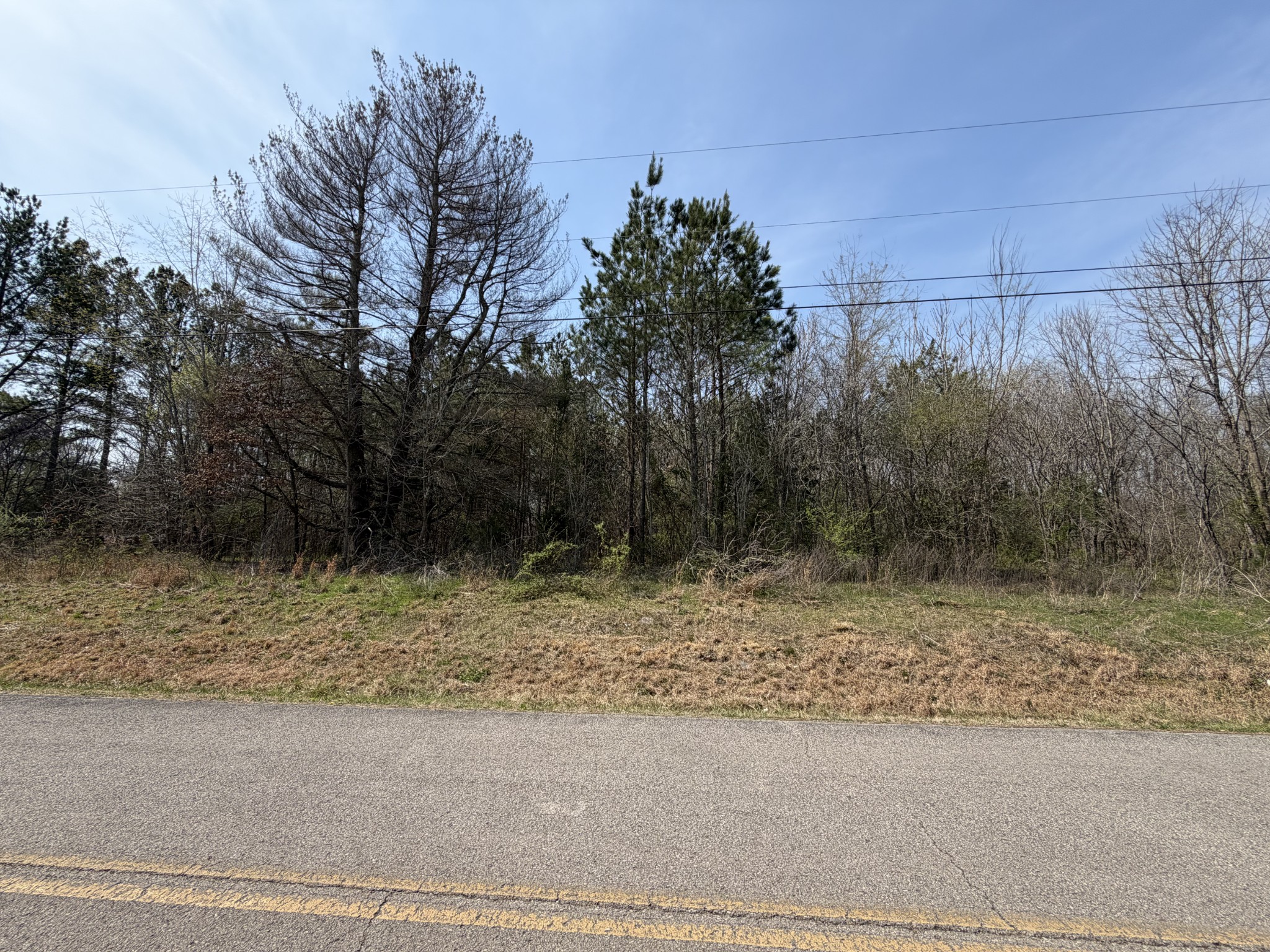 5106 Workman Road Southside, TN 37171 - Photo 8 of 8
