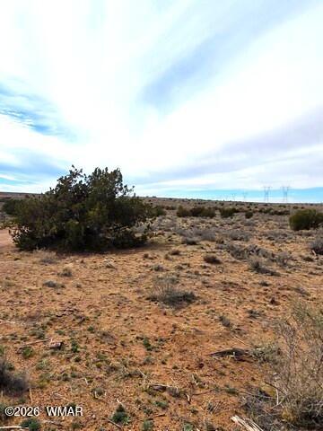 5324 White Antelope Road Snowflake, AZ 85937 - Photo 9 of 19