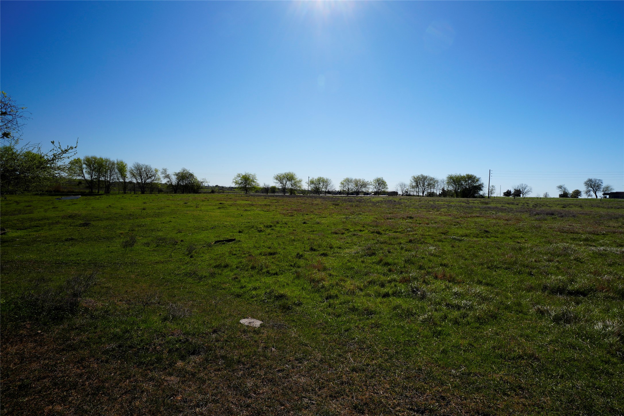 2 1011 Fm 956 Road Schulenburg, TX 78956 - Photo 11 of 14 a view of a field with an trees in the background