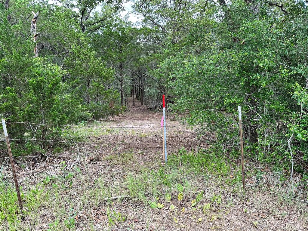 Tbd Lot 1 Tbd Road Smithville, TX 78957 - Photo 5 of 12 View of wooded area