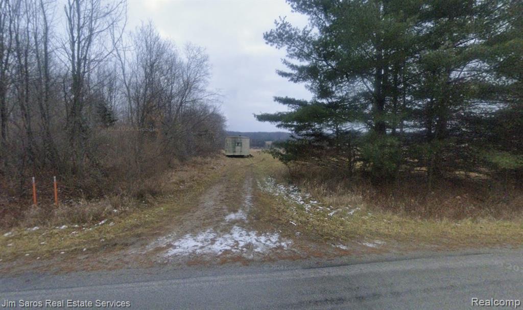 4771 East County Line Road South Branch, MI 48761 - Photo 3 of 13