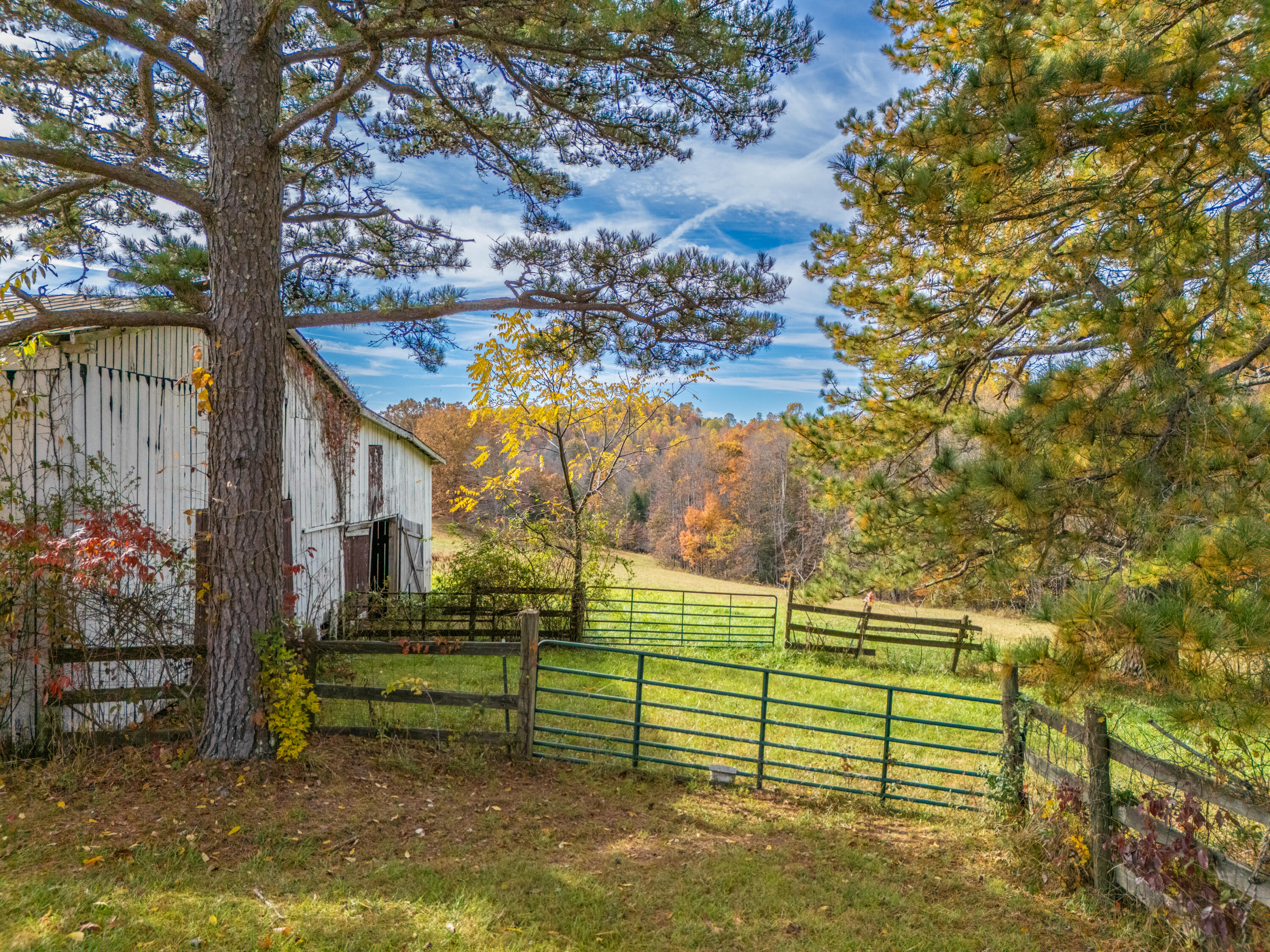 11039 Brown Ridge Road Morehead, KY 40351 - Photo 42 of 55 DJI_20251104112022_0126_D